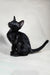 Iikking | Oriental Shorthair Kitten