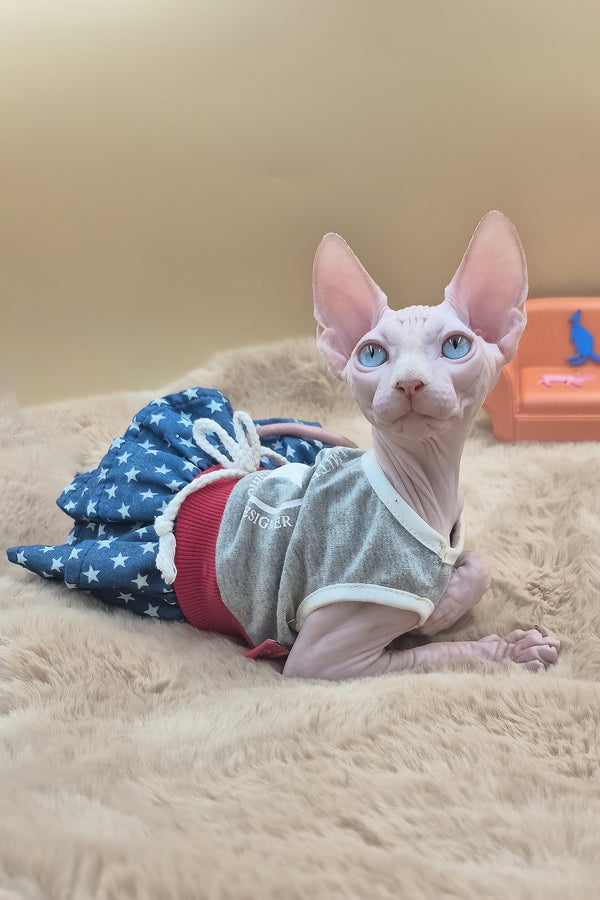 Rose | Canadian Sphynx Kitten