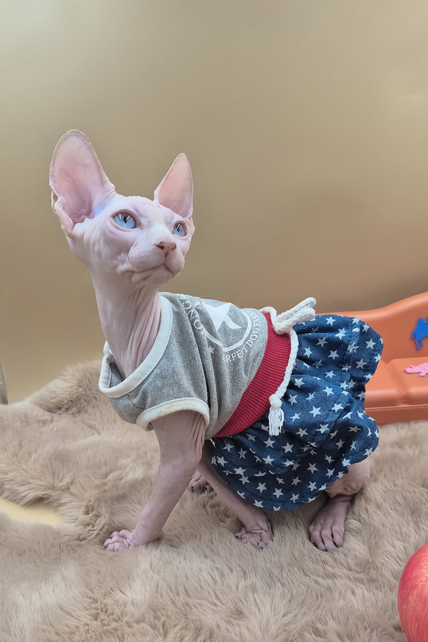 Rose | Canadian Sphynx Kitten
