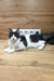 Angel | Maine Coon Kitten