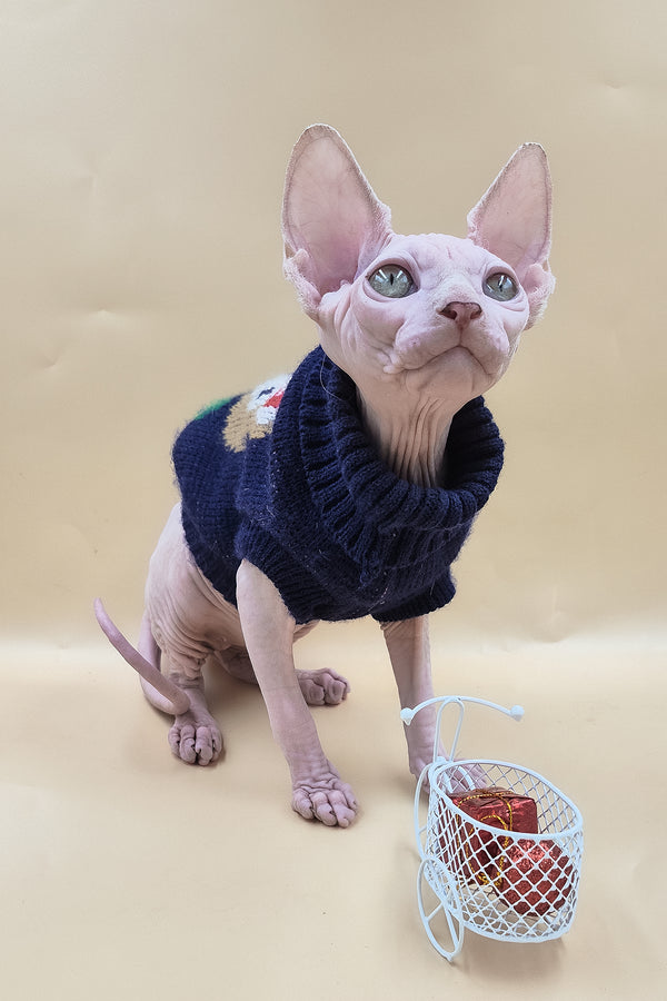 Ozzy | Sphynx Kitten