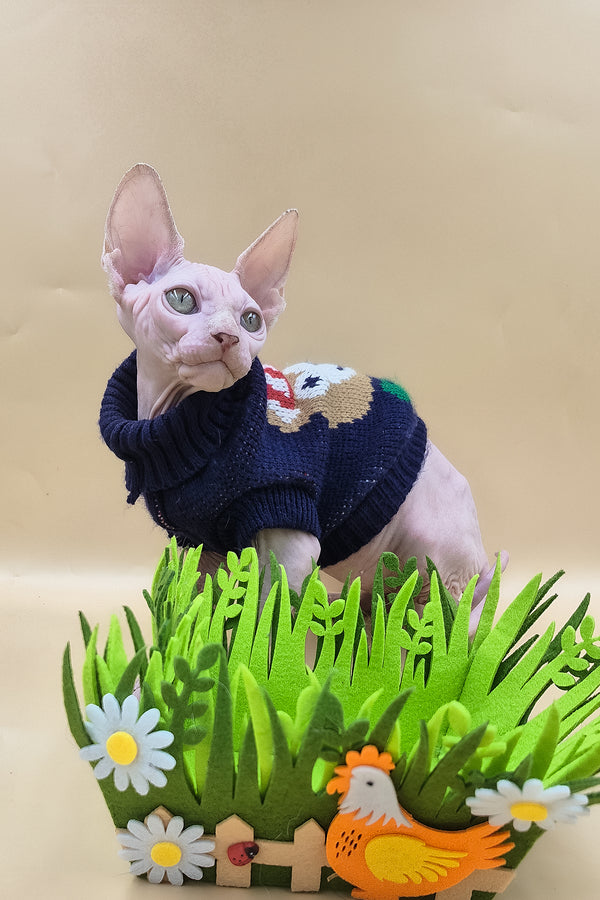 Ozzy | Sphynx Kitten
