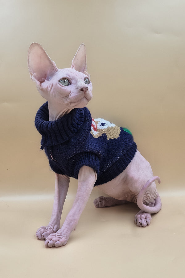 Ozzy | Sphynx Kitten