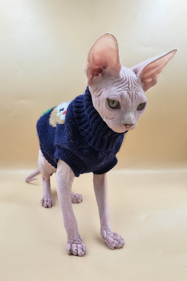 Ozzy | Sphynx Kitten