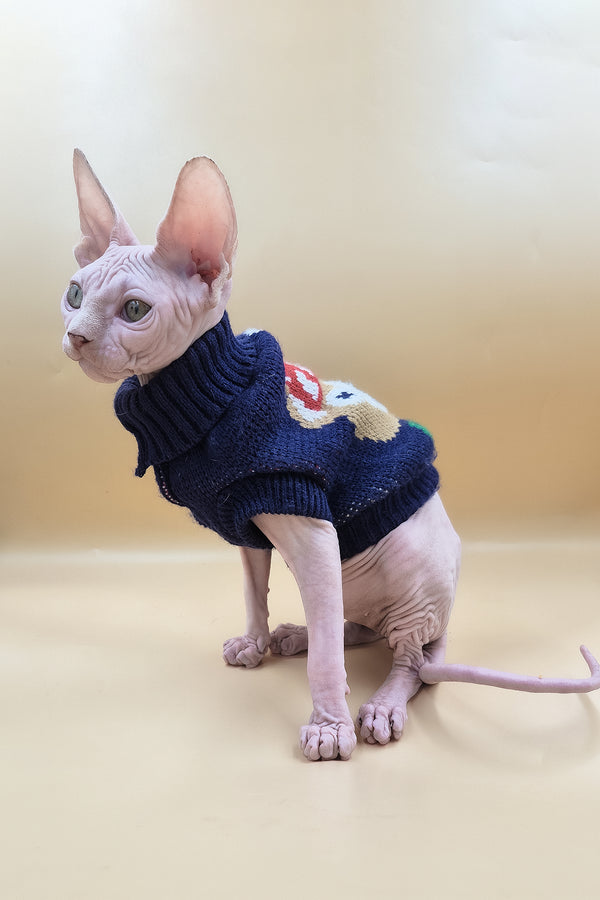 Ozzy | Sphynx Kitten