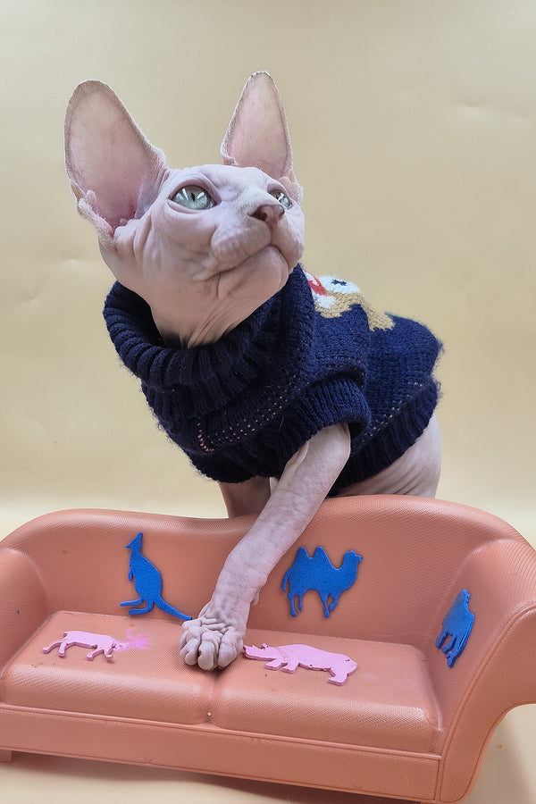 Ozzy | Sphynx Kitten