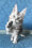 Kiski | Maine Coon Kitten