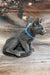 Norro | Russian Blue Kitten
