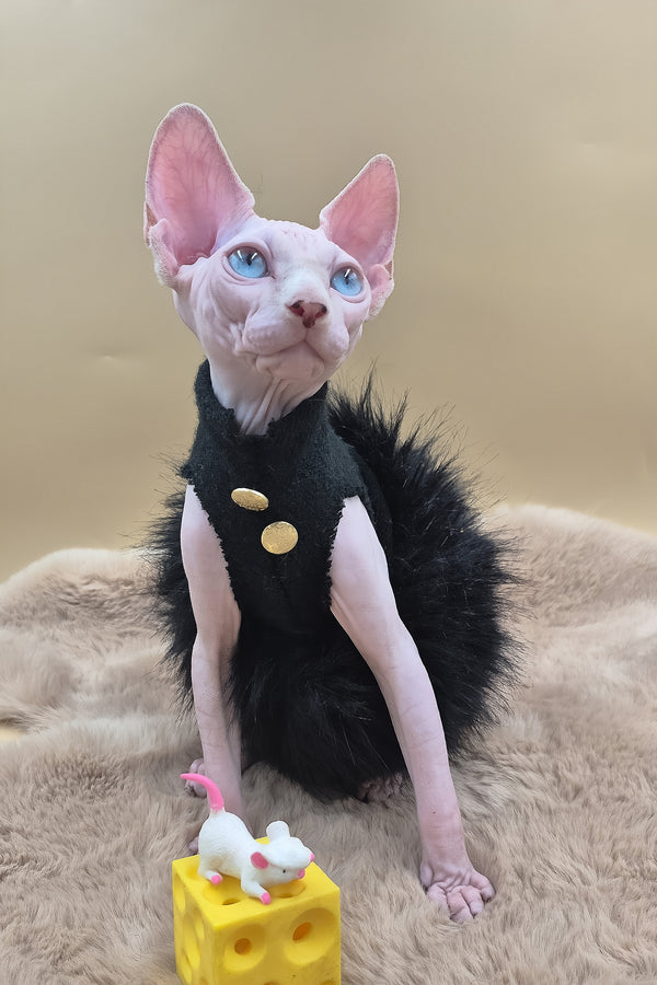 Rita | Canadian Sphynx Kitten