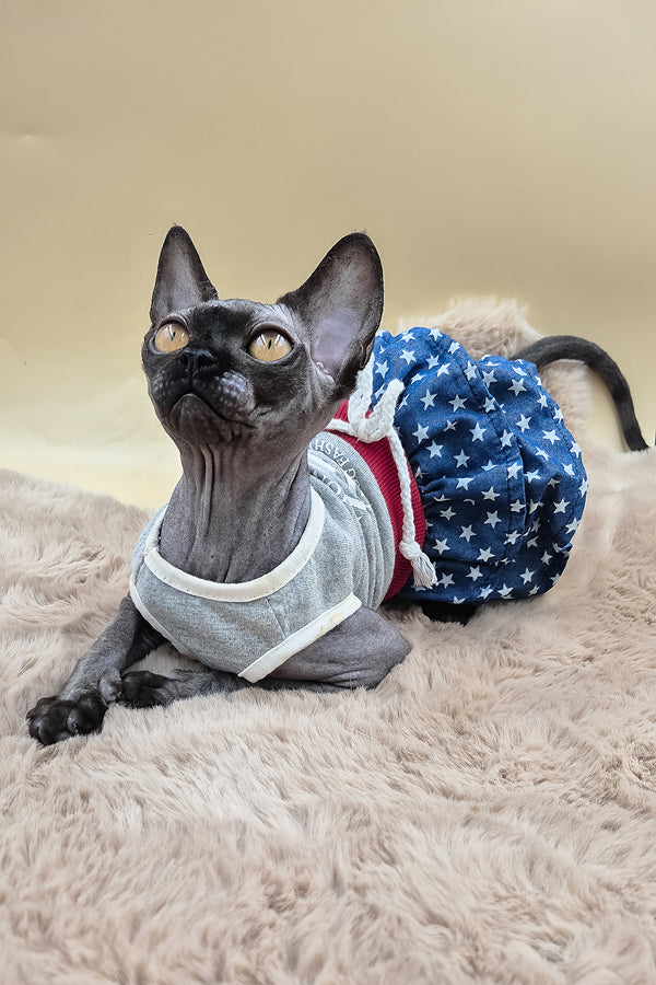Scarlett | Canadian Sphynx Kitten
