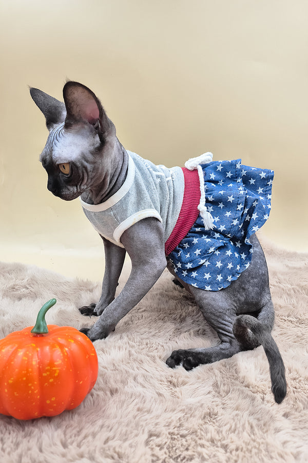 Scarlett | Canadian Sphynx Kitten