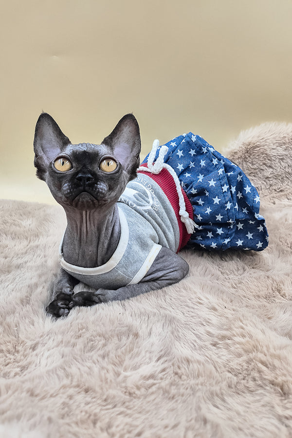 Scarlett | Canadian Sphynx Kitten