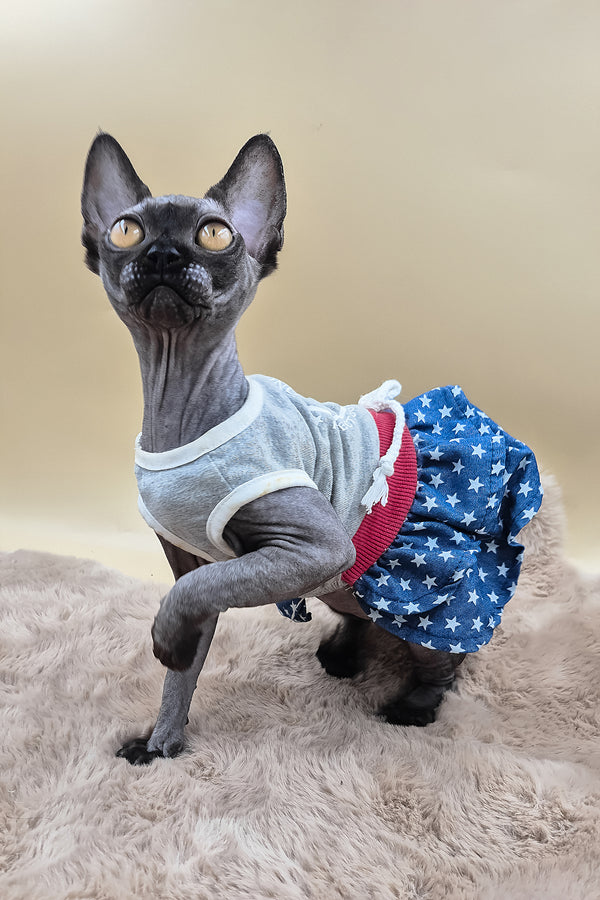 Scarlett | Canadian Sphynx Kitten