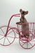 Katrina | Elf Sphynx Kitten