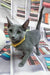 Nikita | Russian Blue Kitten