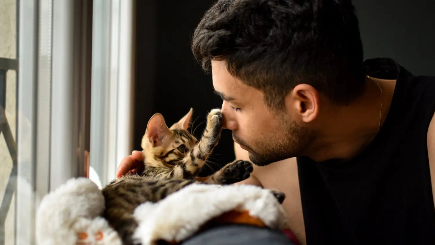 Advantages and disadvantages of owning a bengal cat