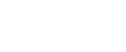 Purebred Kitties