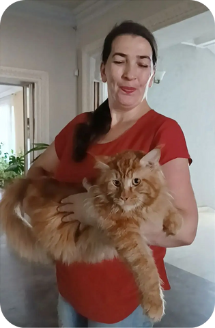 Tim | Maine Coon Kitten