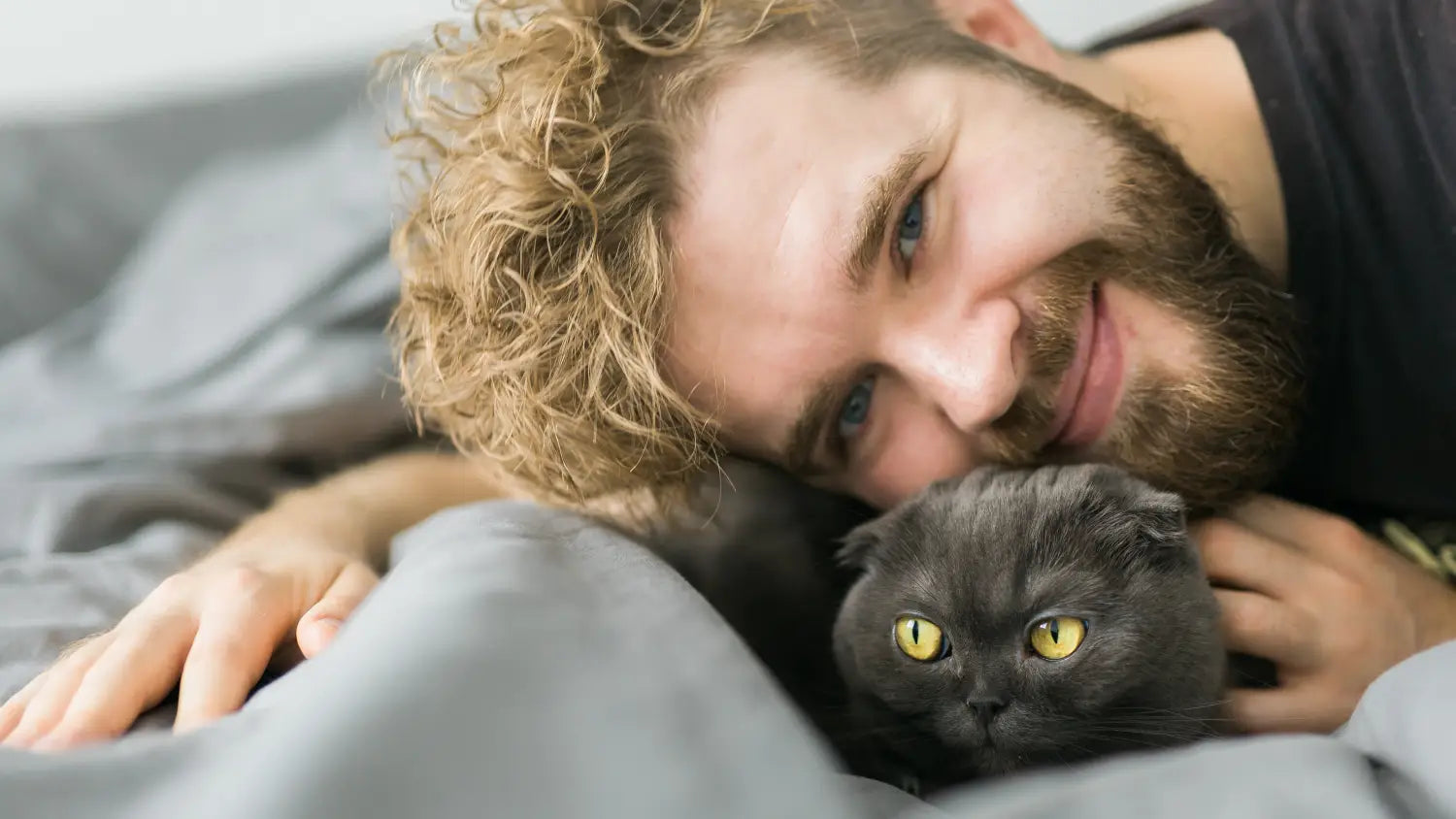 The beginner’s guide to purebred kitten adoption: what you need know