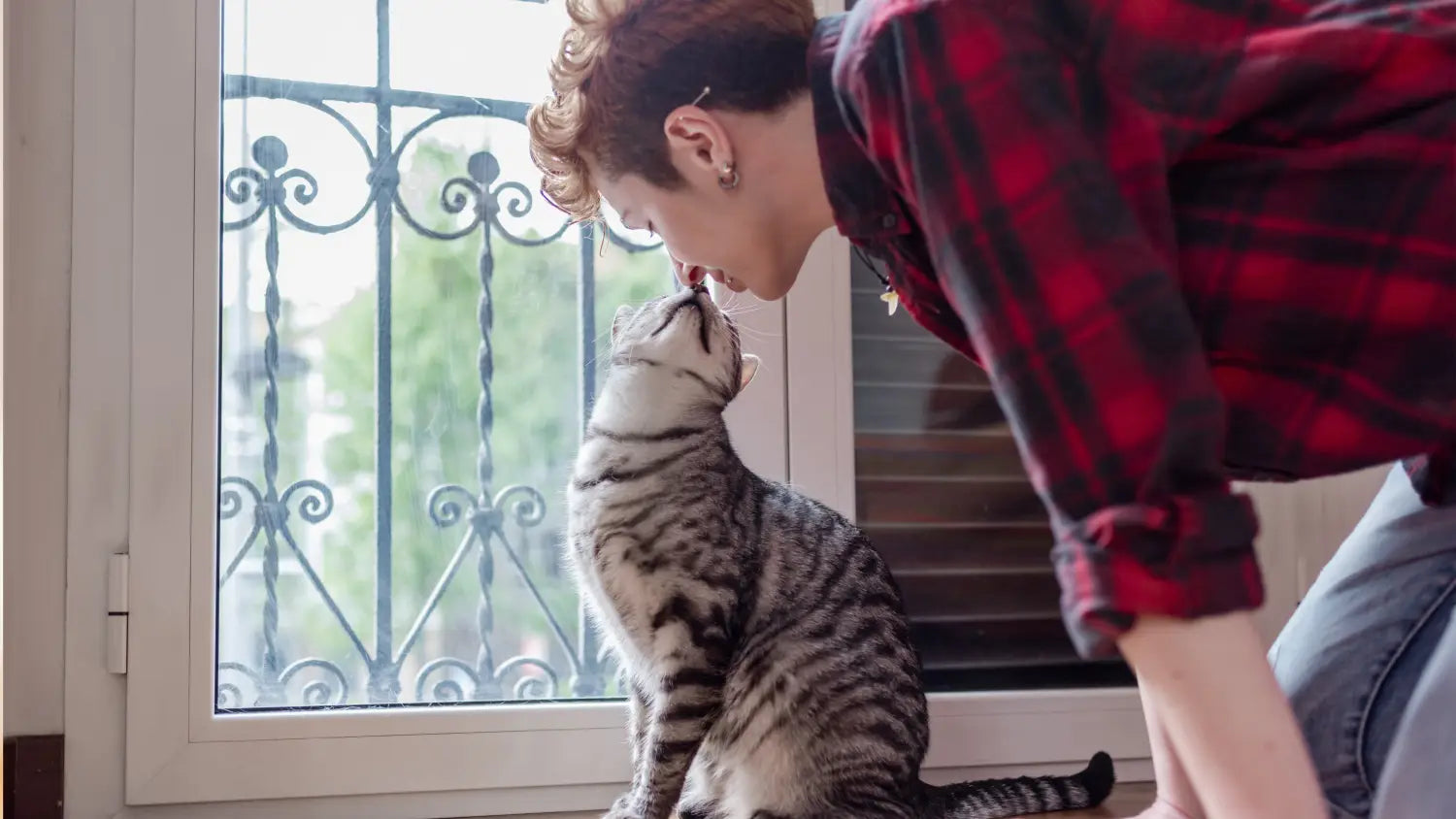 The benefits of adopting a purebred kitten: beyond the cuteness