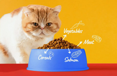 Unlocking the Nutrient Requirements of Your Purebred