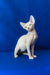 Cute Hairless Sphynx cat with big ears, perfect for anyone wanting a Canadian Sphynx kitten