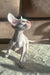 Hairless Cornish Rex kitten with big ears showcasing Amper product