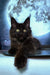 Black cat with glowing yellow eyes in Astra Maine Coon Kitten product display