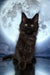 Black cat with glowing eyes beside a full moon, perfect for a Maine Coon kitten design