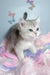 Barbi | scottish straight kitten
