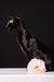 Elegant black Barracuda Oriental Shorthair kitten with a pink flower