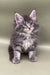 Fluffy gray tabby Maine Coon kitten Bill with bright eyes and silky long fur