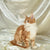 Adorable Orange and White Maine Coon Kitten with fluffy fur and cute ear tufts