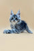 Maine Coon kitten with blue eyes and fluffy gray fur ready for a new home