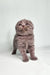 Gray Scottish Fold kitten with fluffy fur and adorable folded ears from Bluery