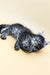 Fluffy gray tabby Maine Coon kitten lying on its back, looking super cute and playful