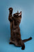 Black Maine Coon kitten standing on hind legs, paw raised playfully