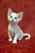 Cute White Curly-Haired Kitten from Carolina Devon Rex Kitten Collection