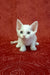 Adorable white Devon Rex kitten with big ears for the Carolina product display