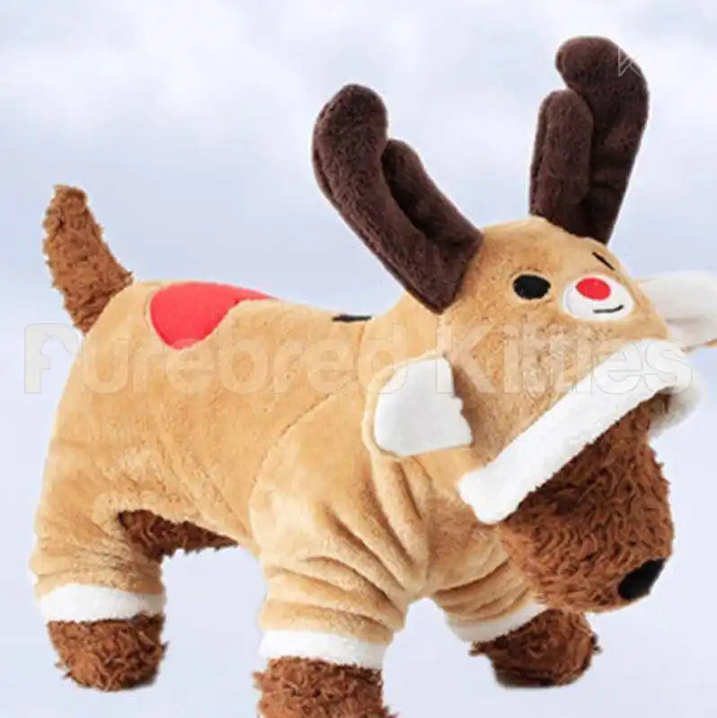 Christmas Costume