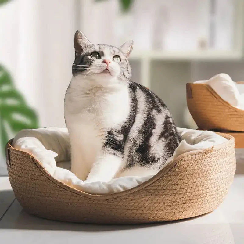 Cozy Bamboo Bed | Eco Friendly