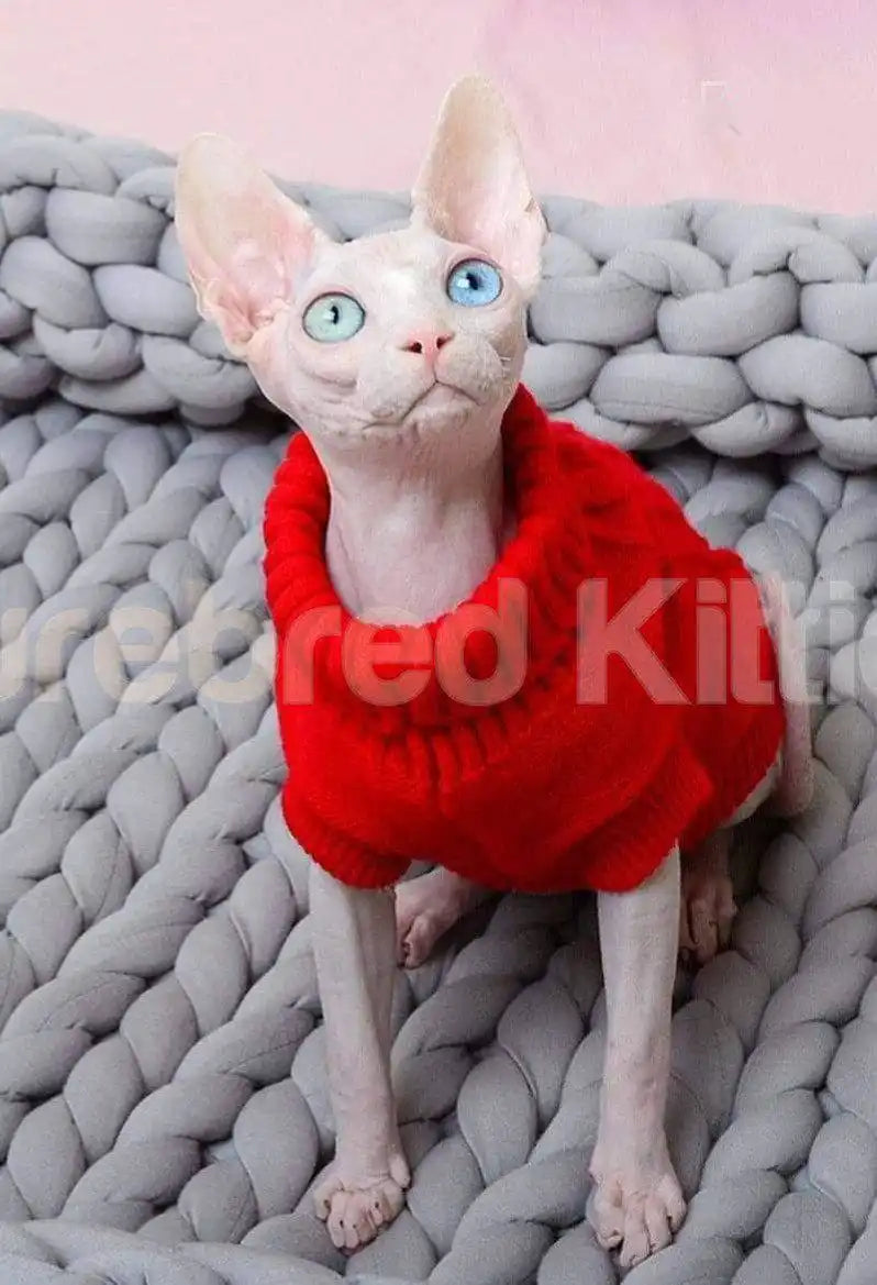 Cozy Winter Sweater In 9 Colors