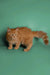 Orange Maine Coon kitten with a fluffy tail, perfect for cuddles and fun