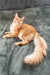 Orange Maine Coon cat named Edgar looking adorable as a kitten in this product