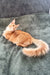 Cute orange long-haired Maine Coon kitten named Edgar looking adorable