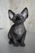 Gray Sphynx cat figurine from the Evelyn Canadian Sphynx Kitten collection