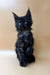 Black Maine Coon kitten with fluffy fur and alert look perfect for Coon kittens lovers