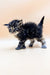 Fluffy gray tabby Polydactyl Maine Coon kitten standing proudly with its tail up