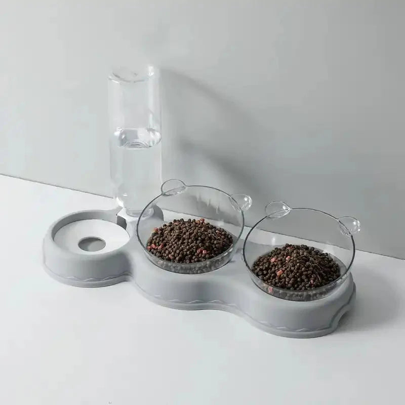 Food Bowl With Water Fountain