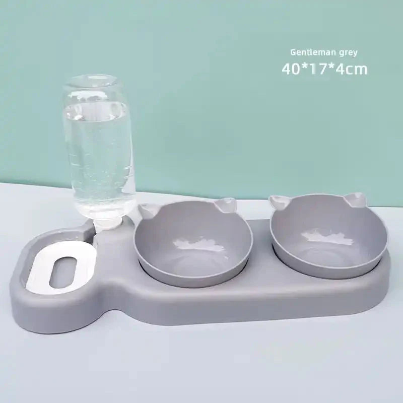 Food Bowl With Water Fountain